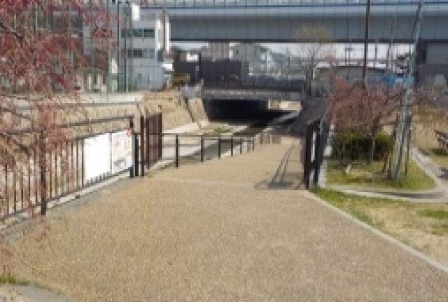 散歩道