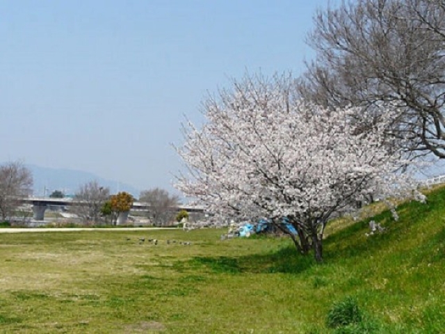 武庫川沿い